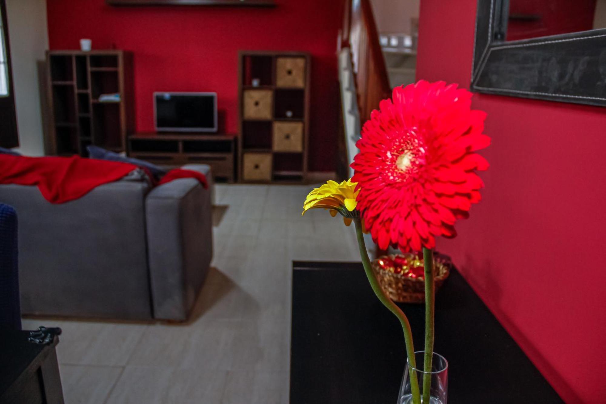 קוסטה טגוויסה Malvasia House מראה חיצוני תמונה